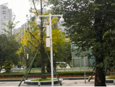 1629774965210270.png image.png